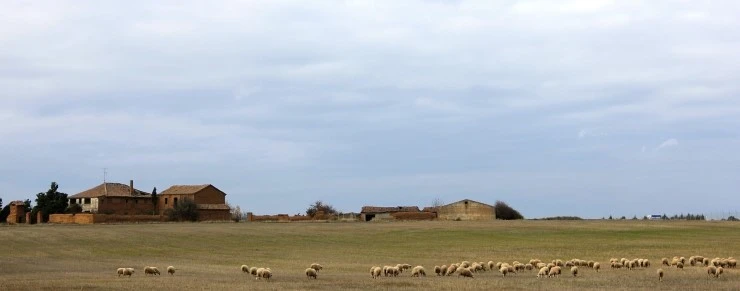 IMG_0697.jpg?type=w740