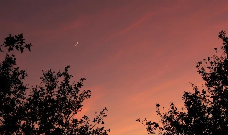 IMG_1122.jpg?type=w740