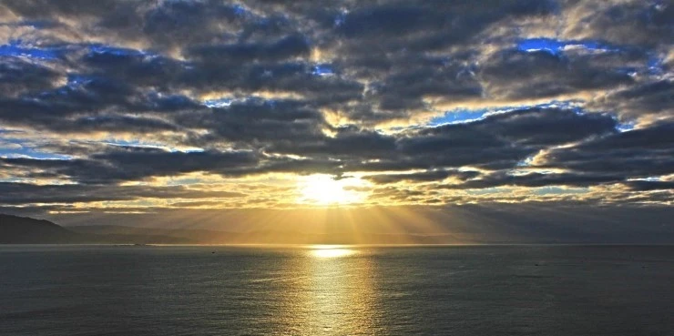 IMG_1455.jpg?type=w740