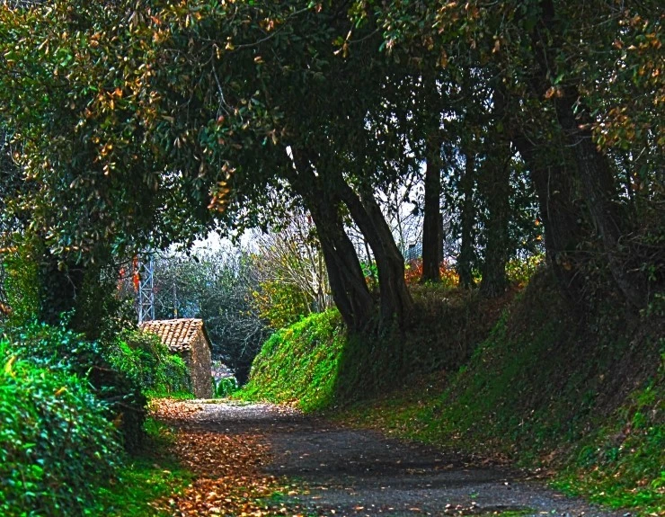 IMG_1287.jpg?type=w740