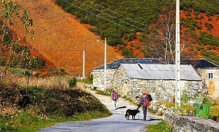 IMG_1091.jpg?type=w740