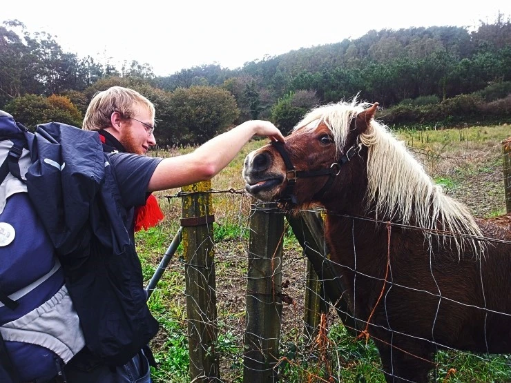 2011-12-05_14.11.jpg?type=w740