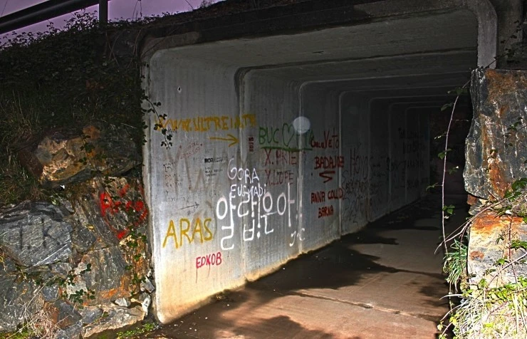 IMG_1289.jpg?type=w740