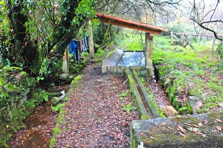 IMG_1582.jpg?type=w740