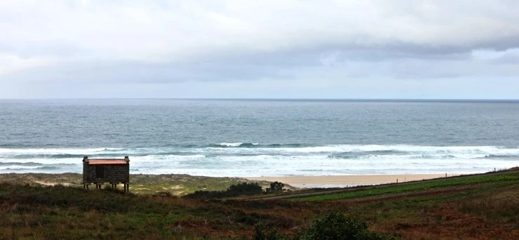 IMG_1438.jpg?type=w740