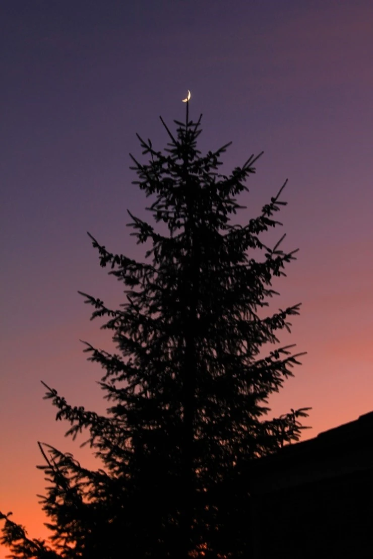 IMG_1202.jpg?type=w740