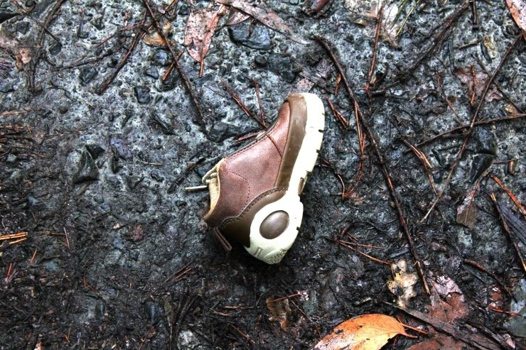 IMG_1304.jpg?type=w740