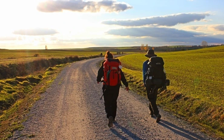 IMG_0659.jpg?type=w740