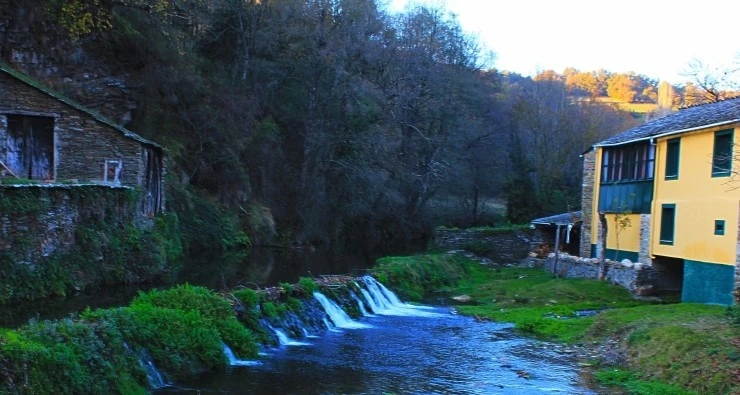 IMG_1111.jpg?type=w740