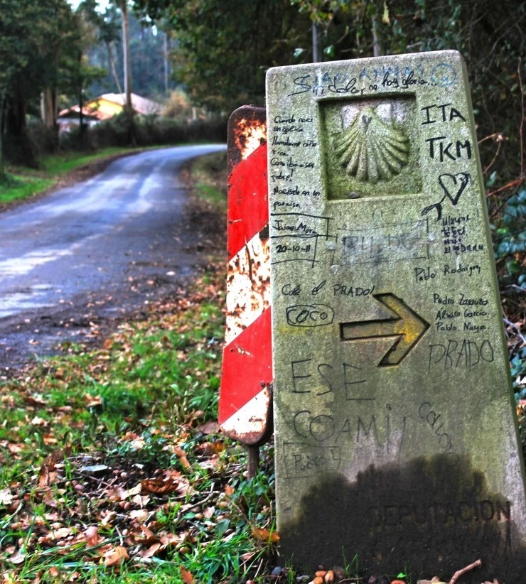 IMG_1281.jpg?type=w740