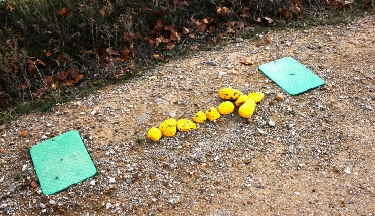 IMG_0690.jpg?type=w740