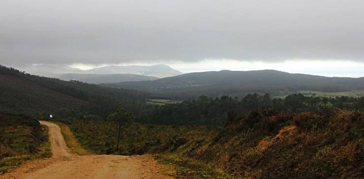 IMG_1435.jpg?type=w740