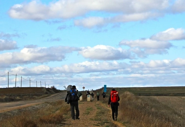 IMG_0610.jpg?type=w740