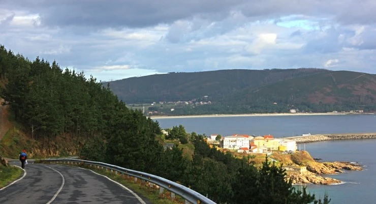 IMG_1484.jpg?type=w740