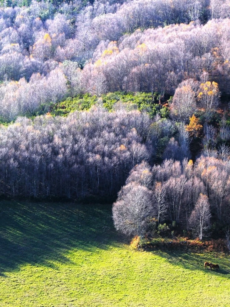 IMG_1093.jpg?type=w740