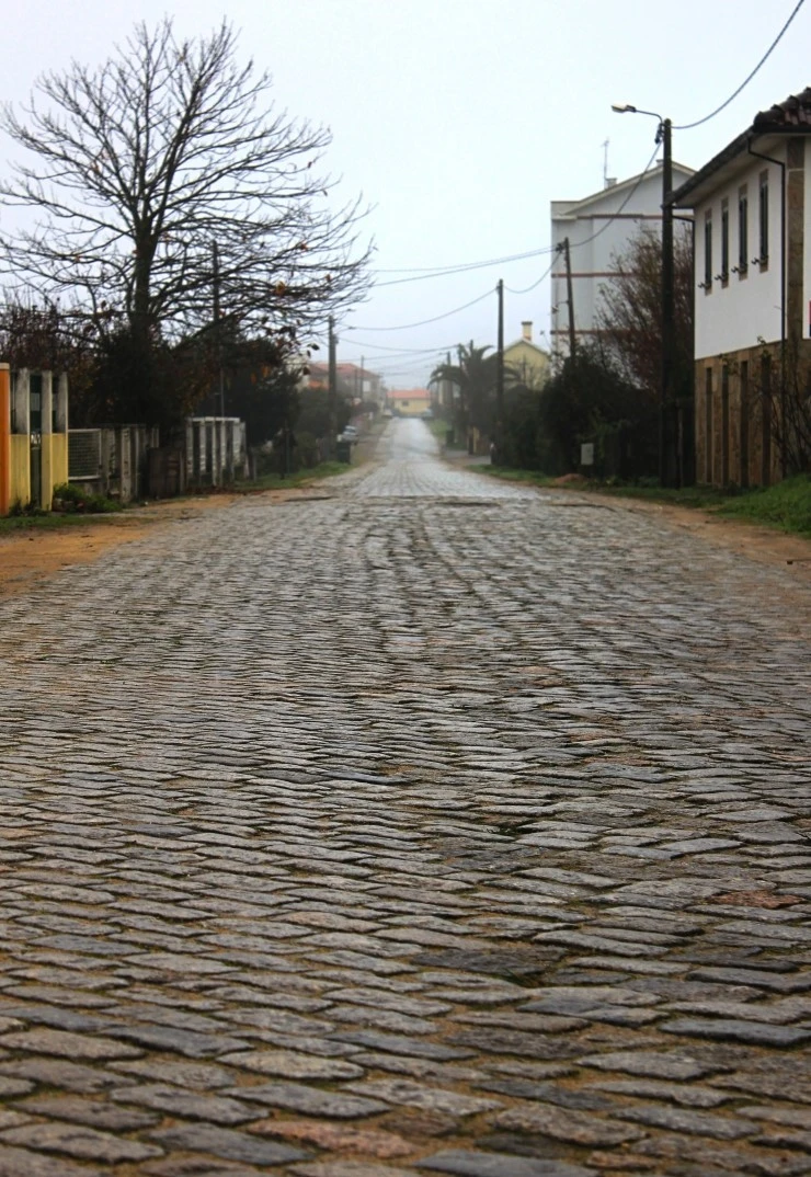 IMG_1628.jpg?type=w740