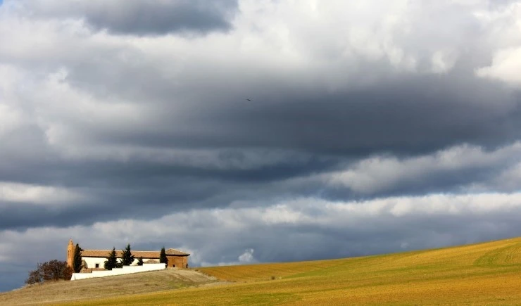 IMG_0653.jpg?type=w740