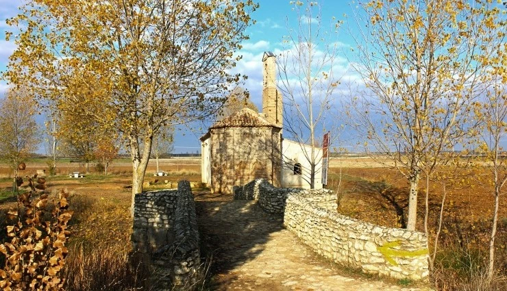 IMG_0681.jpg?type=w740