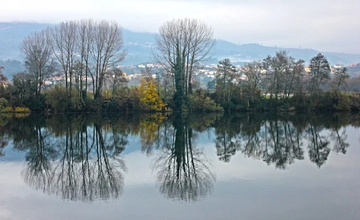 IMG_1595.jpg?type=w740