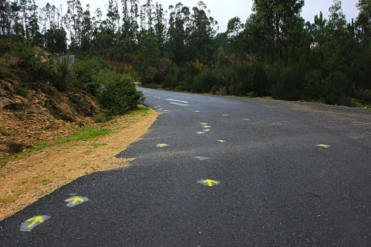 IMG_1526.jpg?type=w740