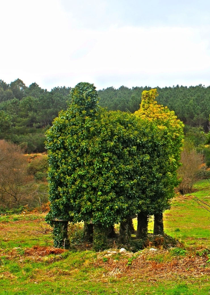 IMG_1437.jpg?type=w740