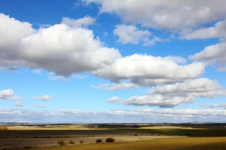 IMG_0608.jpg?type=w740