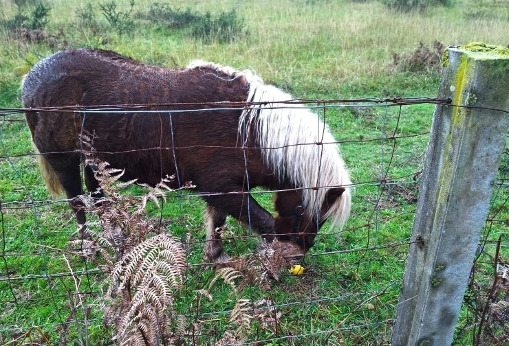 2011-12-05_14.08.jpg?type=w740