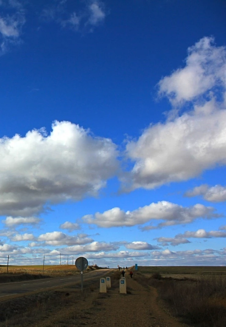 IMG_0612.jpg?type=w740