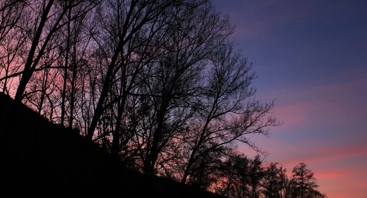 IMG_0969.jpg?type=w740