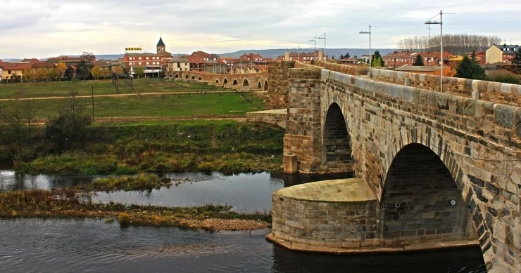 IMG_0767.jpg?type=w740