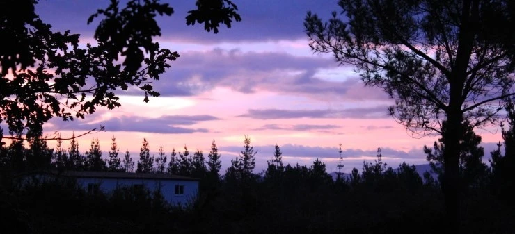 IMG_1259.jpg?type=w740