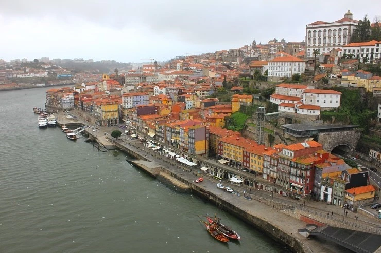 IMG_1769.jpg?type=w740