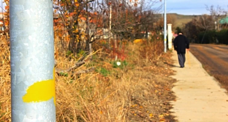 IMG_0769.jpg?type=w740