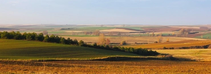 IMG_0680.jpg?type=w740