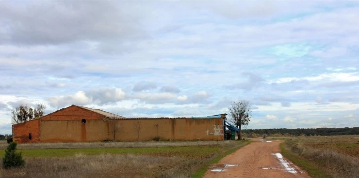 IMG_0773.jpg?type=w740