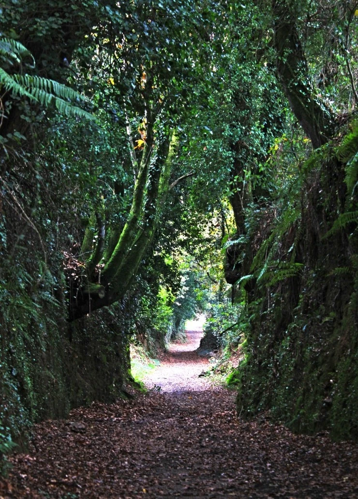 IMG_1306.jpg?type=w740