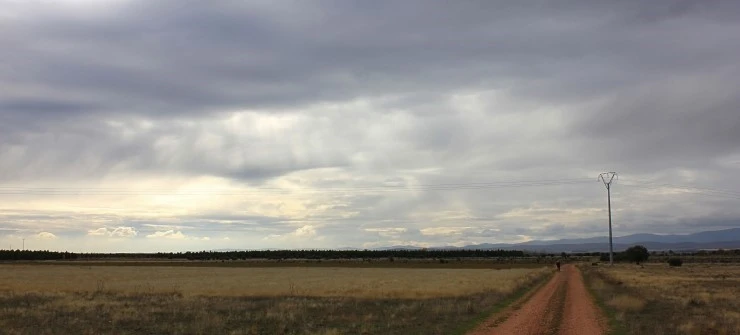 IMG_0778.jpg?type=w740