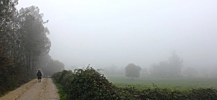 IMG_1386.jpg?type=w740