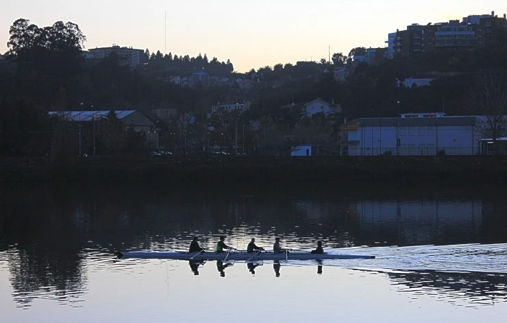 IMG_1860.jpg?type=w740