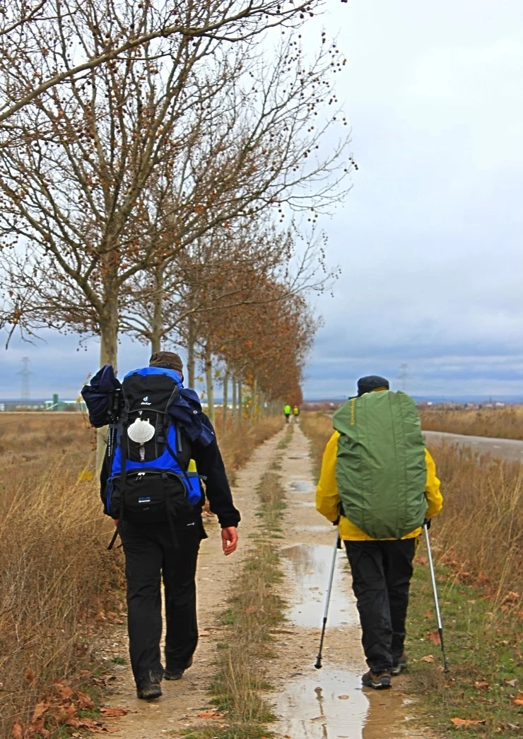 IMG_0722.jpg?type=w740