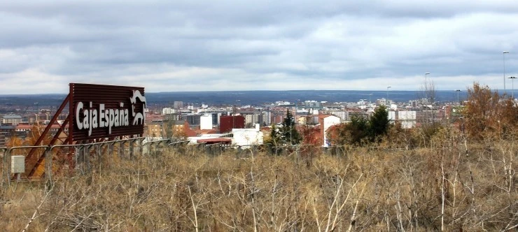 IMG_0739.jpg?type=w740