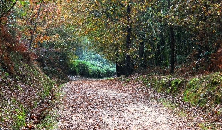 IMG_1579.jpg?type=w740