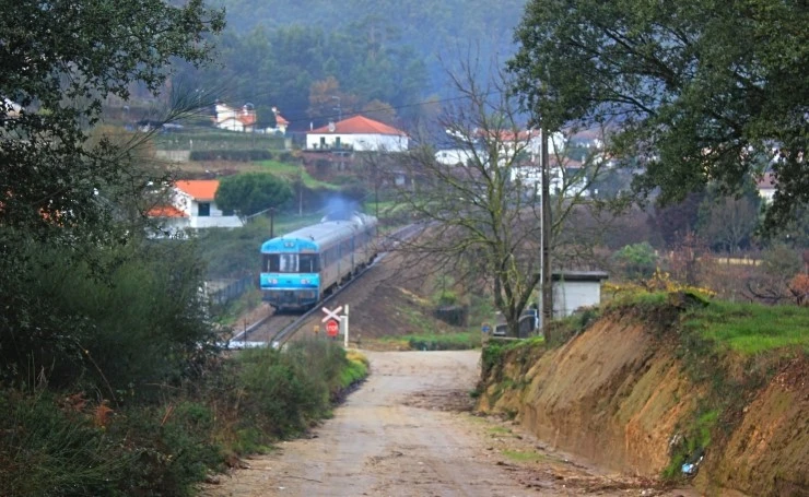 IMG_1698.jpg?type=w740