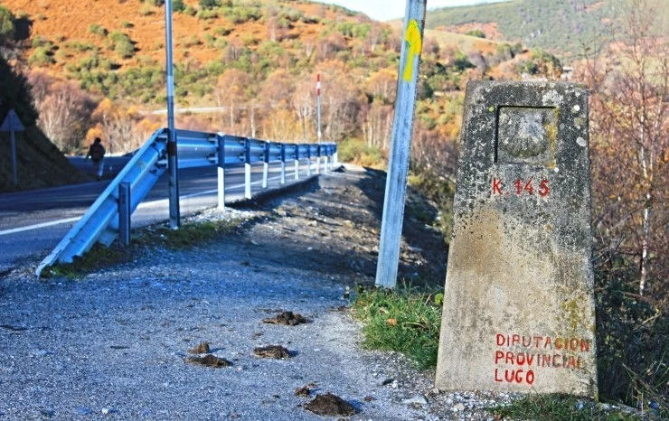 IMG_1087.jpg?type=w740