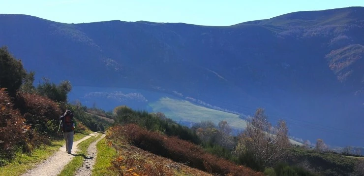 IMG_1100.jpg?type=w740