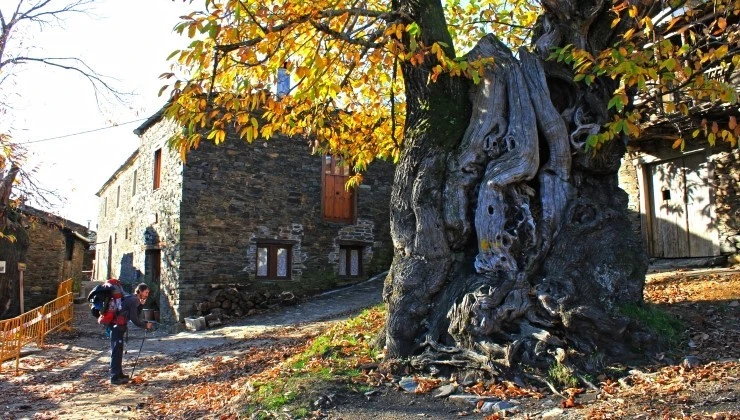 IMG_1107.jpg?type=w740