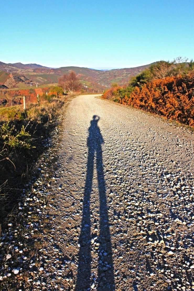 IMG_1080.jpg?type=w740