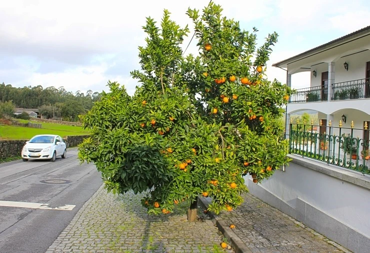 IMG_1722.jpg?type=w740