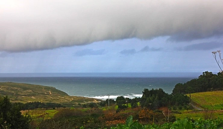 IMG_1441.jpg?type=w740