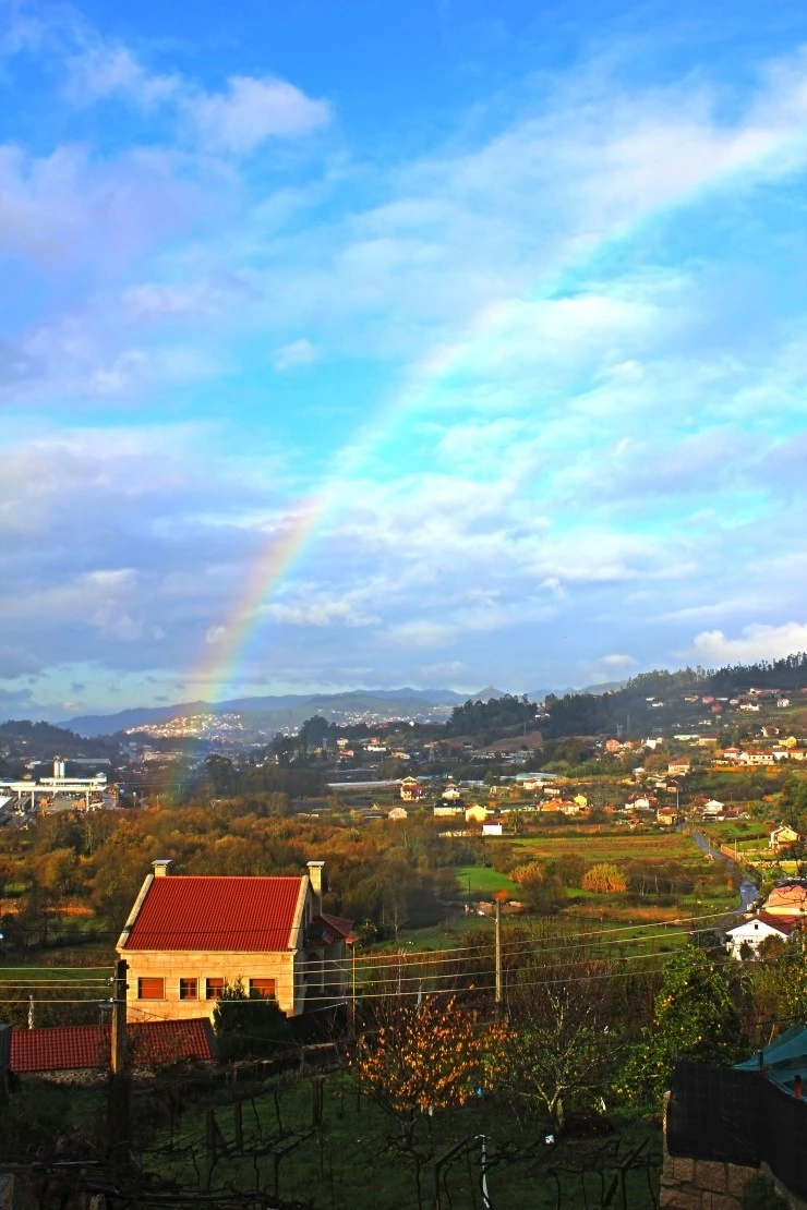 IMG_1564.jpg?type=w740